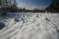 Wootton Snow