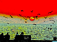 Fly away Sunset